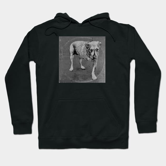 Alice's Dog Long Play BW Hoodie by CTShirts